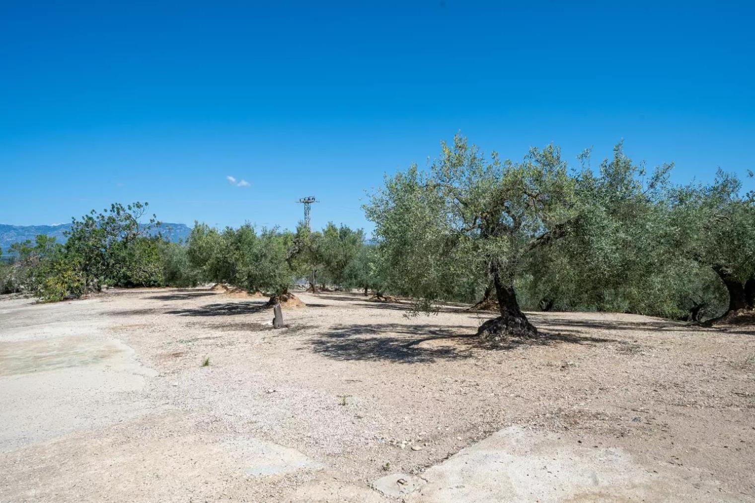 La Caseta Dels Iaios Masdenverge Eksteriør bilde
